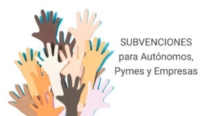 subvenciones digitalización